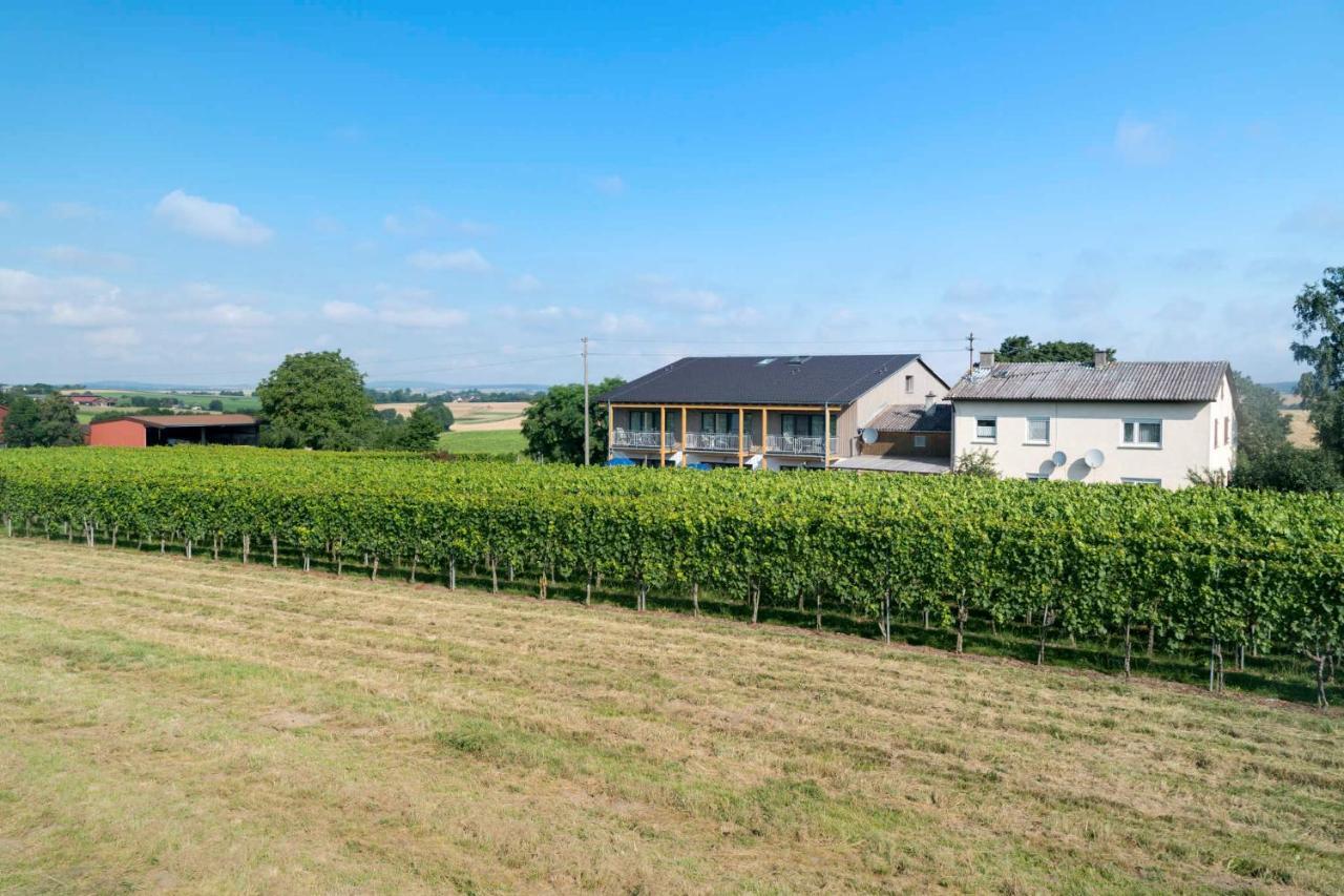 Winzerhof Schmid Daire Schwaigern Dış mekan fotoğraf